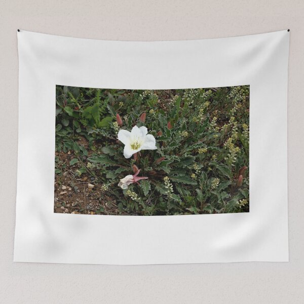 Item preview, Tufted Evening Primrose 1 - Mesa Verde National Park designed and sold by jtrommer.