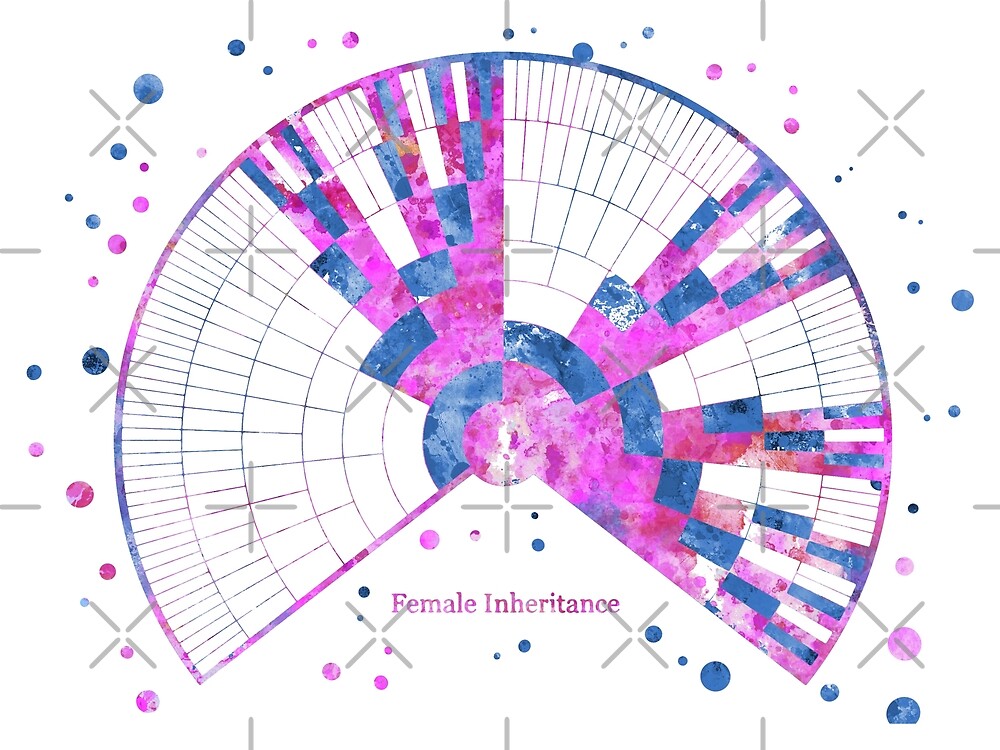 "Female Inheritance Chart, Female Inheritance, Female XDNA Inheritance