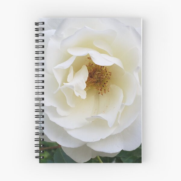 Item preview, Flower Detail - Borghese Gardens designed and sold by jaustin59.