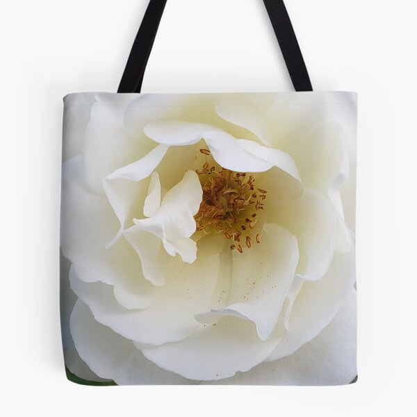 Item preview, Flower Detail - Borghese Gardens designed and sold by jaustin59.