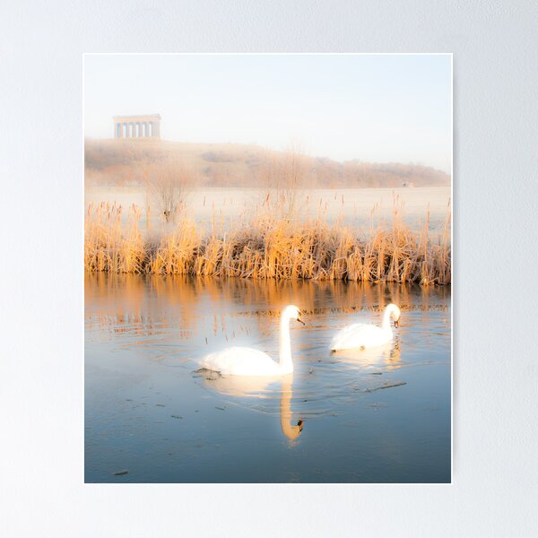 Item preview, For life designed and sold by fletchphoto.
