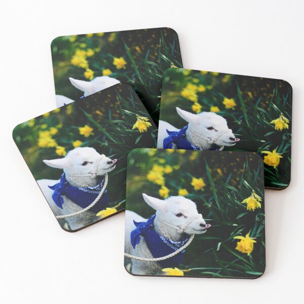 Item preview, Stubby and the Daffodils designed and sold by thegreendogs.