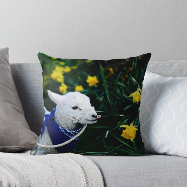 Item preview, Stubby and the Daffodils designed and sold by thegreendogs.