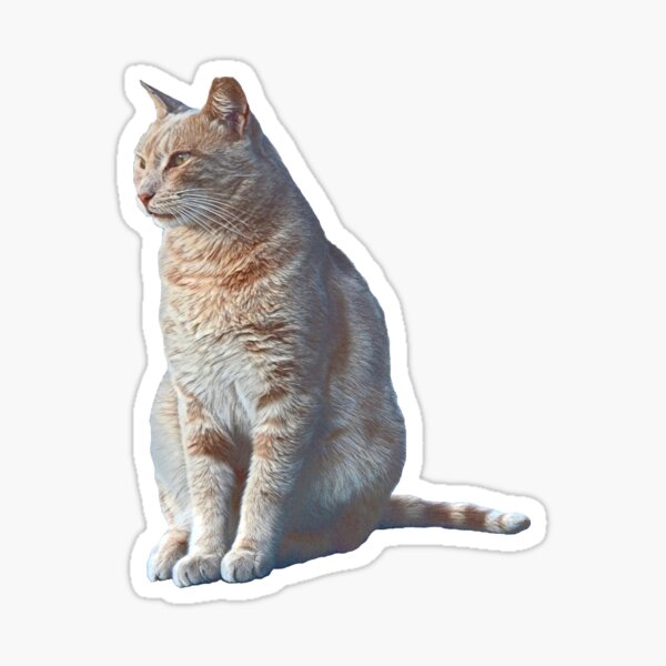 Mr Cat #1 Glossy Sticker