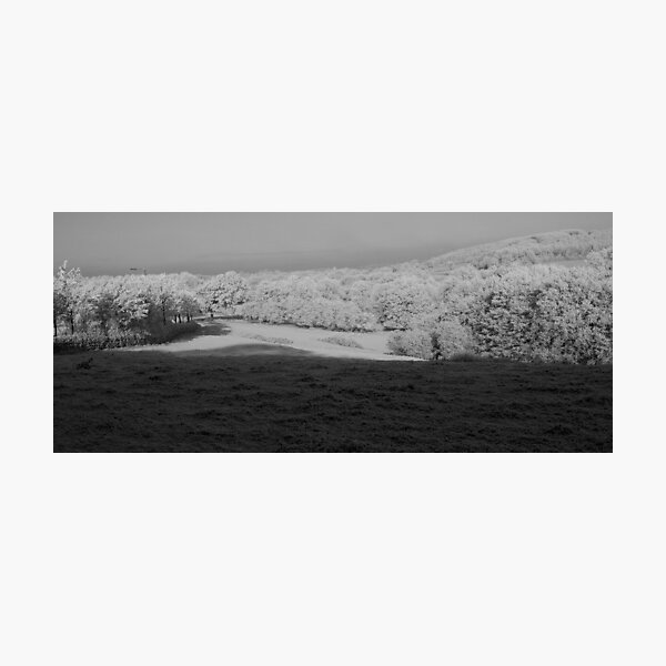 Item preview, A Winter's Morning designed and sold by Matt Sillence.