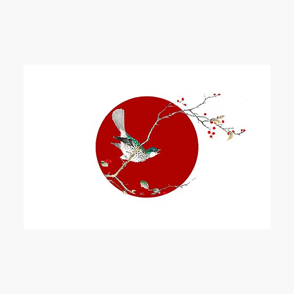 Item preview, Japanese Flag - Brown-eared Bulbul and Dioecious Holly designed and sold by weavernap.