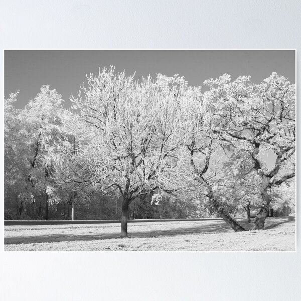 Item preview, Winter has taken hold designed and sold by Matt Sillence.
