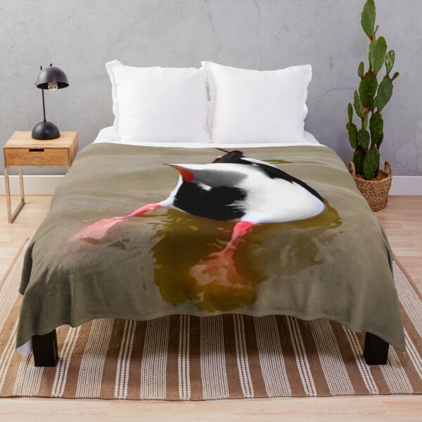 Item preview, Love a Duck designed and sold by Angela Haig-Harrison.