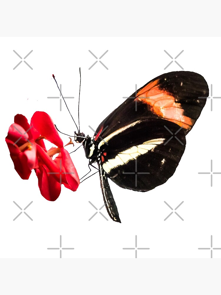 Thumbnail 2 von 2, Stofftasche, Geschenkidee Schmetterling Foto Nahaufnahme designt und verkauft von Igelchen.