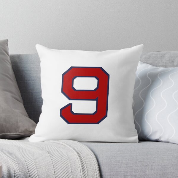 Red sox hot sale throw pillow