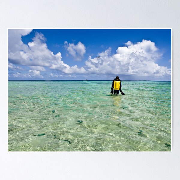 Item preview, Shore diver, Lady Musgrave Island / Emma M Birdsey designed and sold by Emma M Birdsey.