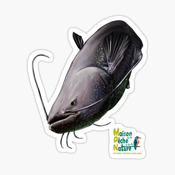 Silure 2 Sticker