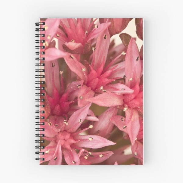 Item preview, Pink Sedum Flower Macro designed and sold by Sandra Foster.