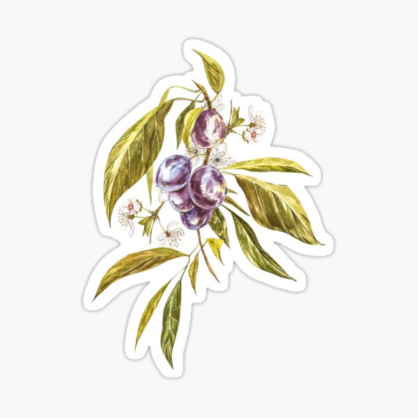 Item preview, Ripe Plum designed and sold by Ann Astro.