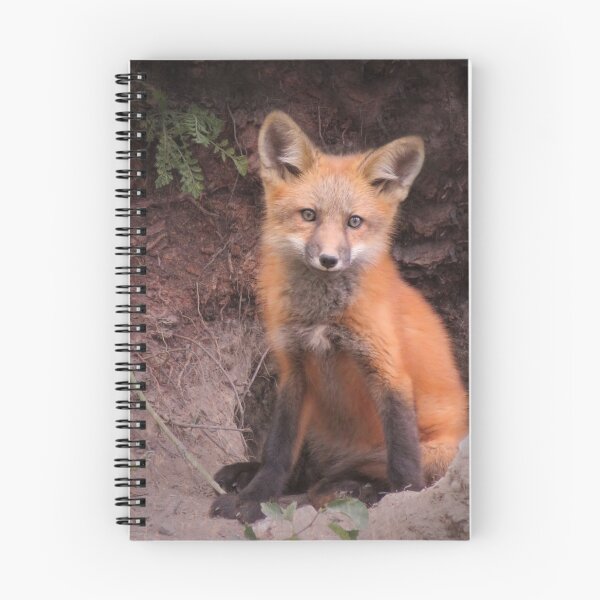 Item preview, Fox Kit Portrait designed and sold by JuniperMT.