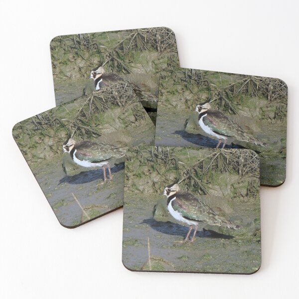 Item preview, Lapwing 01 designed and sold by Sharon Perrett.
