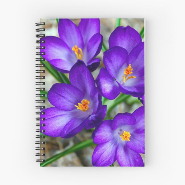 Item preview, Crocuses, the First Sign of Spring designed and sold by JuniperMT.