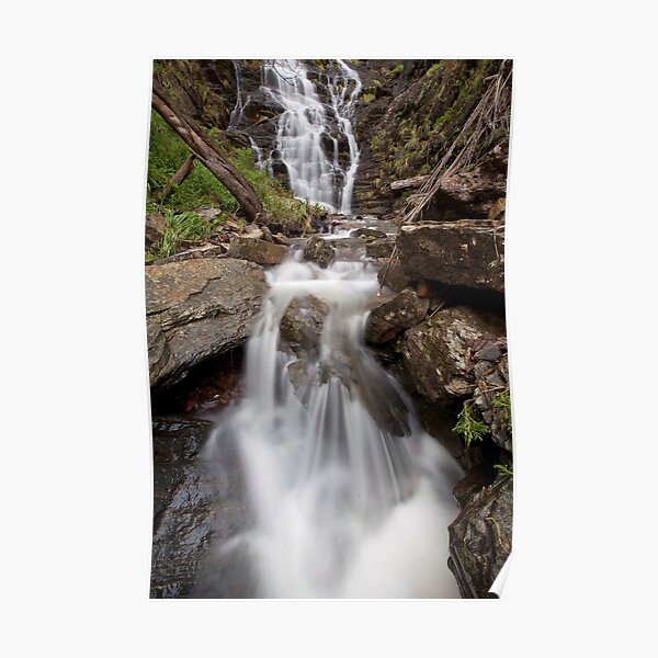 Margaret Falls Poster