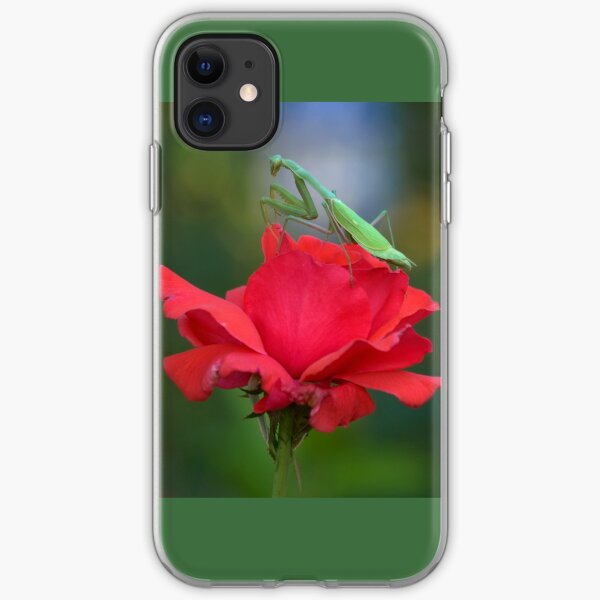 Praying Mantis on Coral Rose iPhone Soft Case