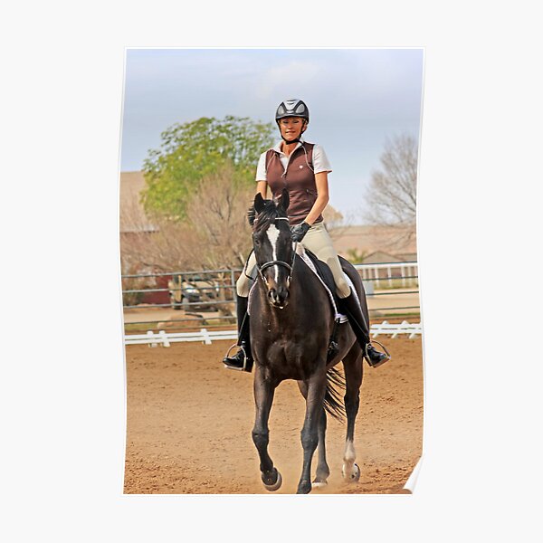 Dressage Rider Poster