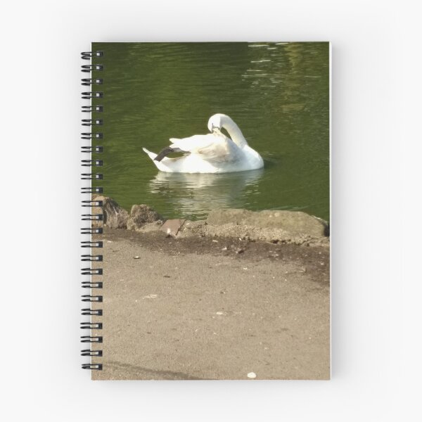 Item preview, #43 |☼| Swan - Shot 1 (Pearson Park) designed and sold by Naean H.F. (Nez Man).