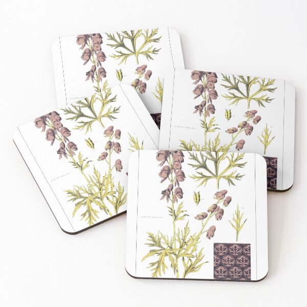 Item preview, Aconiyum Napellus, Monkshood or Wolfs Bane designed and sold by simpson92.