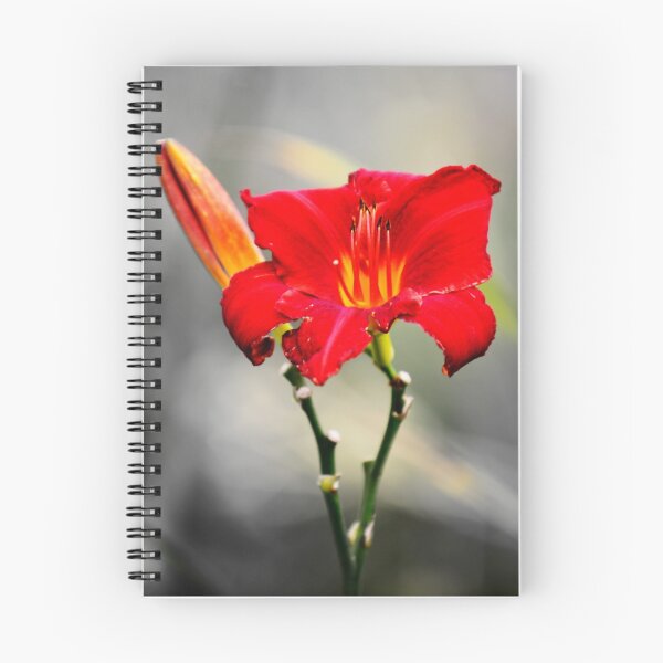 Item preview, flowers in millennium park designed and sold by bjphotographs.