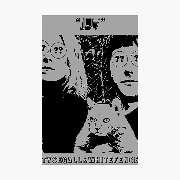ty segall and white fence joy Photographic Print