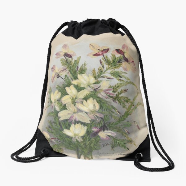 Western Australia wild flower Yellow Leschenaultia - Lechenaultia linarioides State Library of Western Australia Drawstring Bag