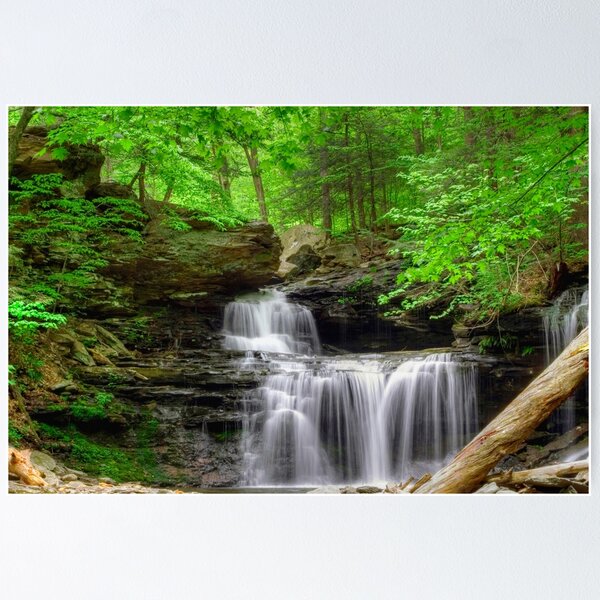 Item preview, Emerald Trees Surround R. B. Ricketts Falls designed and sold by Gene Walls.