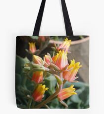 Mighty Macro 2 Tote Bag