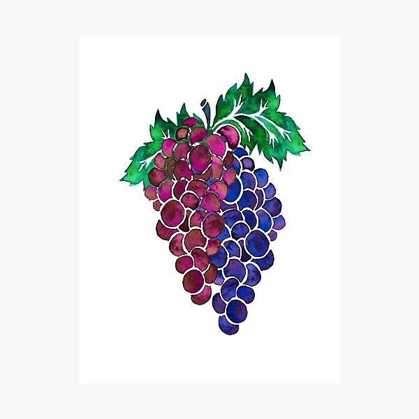 Item preview, Grape Harvest designed and sold by floryavenue.