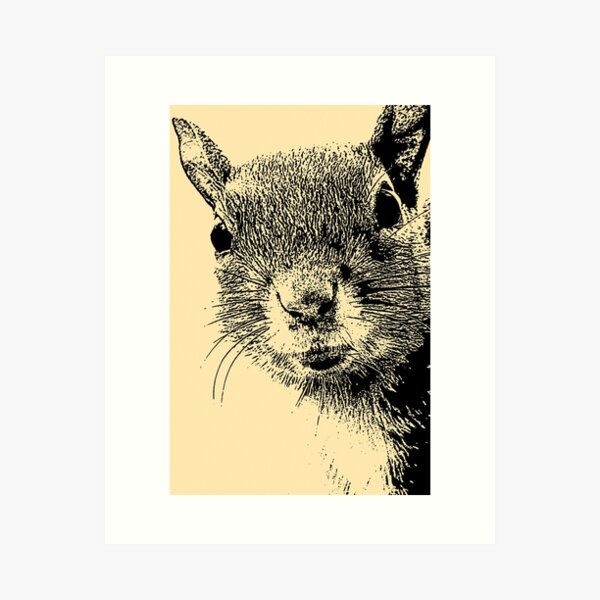 Squirrel Lithograph Art Print