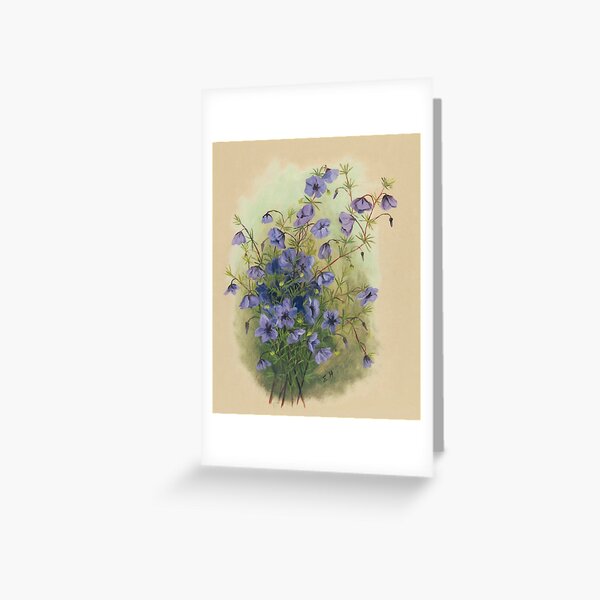 Western Australia wild flower Blue Lechenaultia State Library of Western Australia Greeting Card