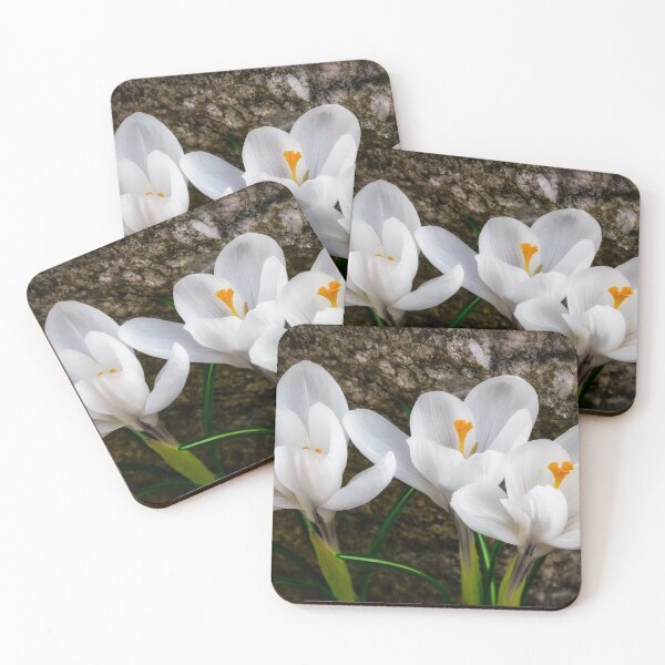 Item preview, Three Crocus designed and sold by Robert Alsop.