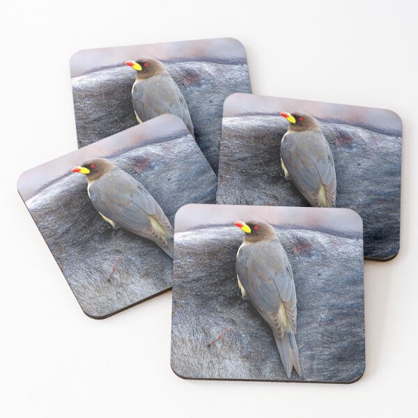Item preview, *THE TICK EATER* - Yellow-billed Oxpecker – Buphagus Africana designed and sold by Magriet Meintjes.