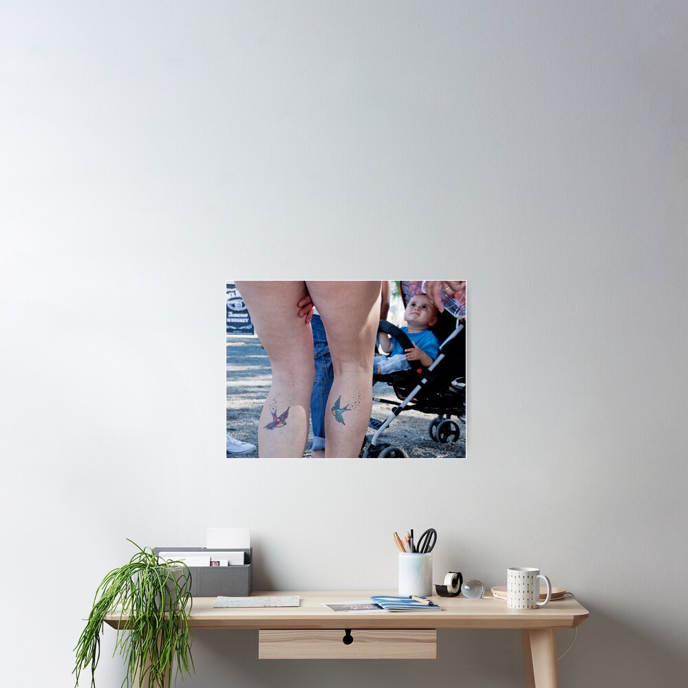 Attention Swallows Poster
