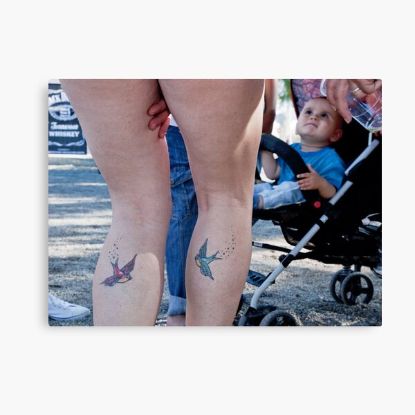 Attention Swallows Canvas Print