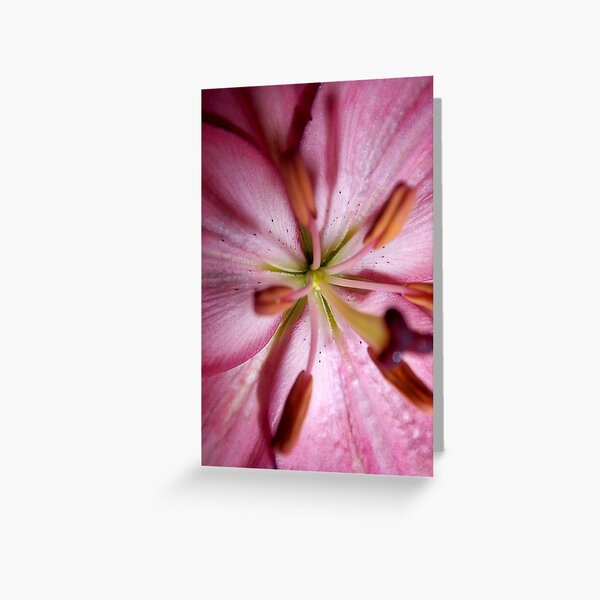 Let There Be Light Greeting Card