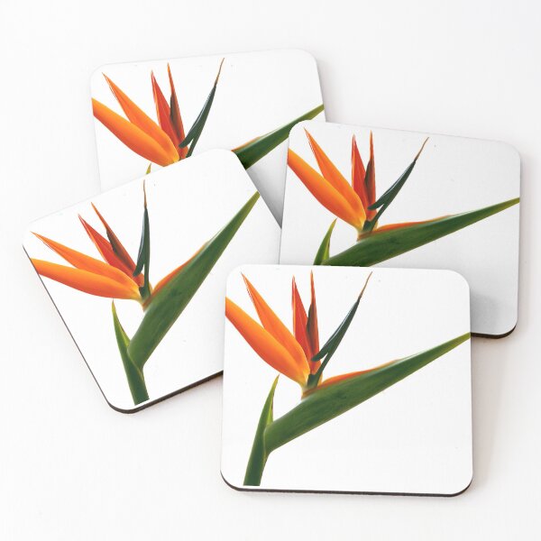 Item preview, l' oiseau de paradise  designed and sold by Neti Magnetic.
