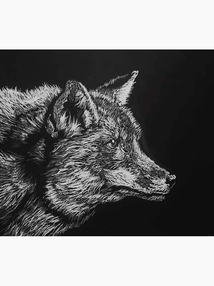 "Fox Scratchboard " Poster by Santiagoortiz Redbubble