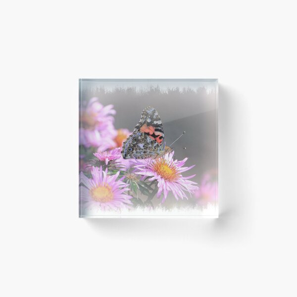 Item preview, "The Painted Lady and the Aster" designed and sold by wiscbackroadz.