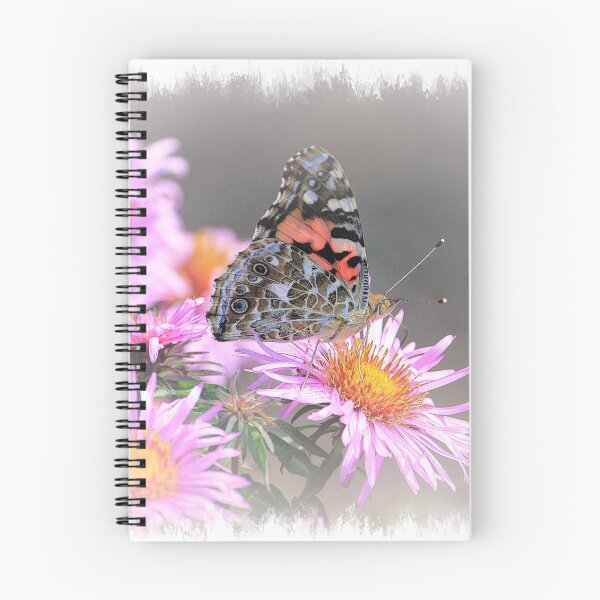 Item preview, "The Painted Lady and the Aster" designed and sold by wiscbackroadz.