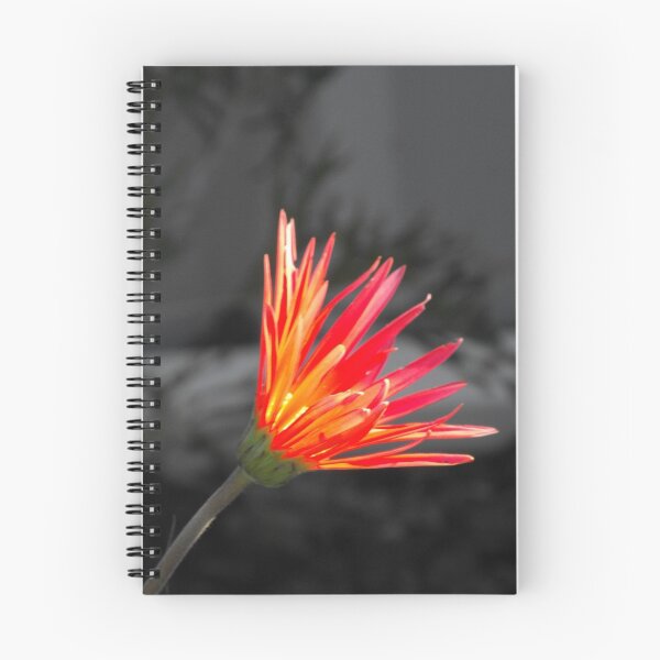 Item preview, Burning Red designed and sold by Kayleigh Walmsley.