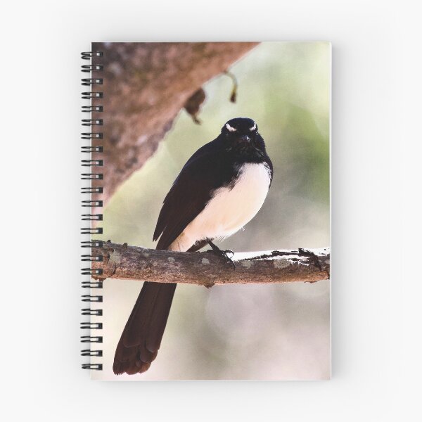 Item preview, Willie wagtail  designed and sold by MargsNaturePix.
