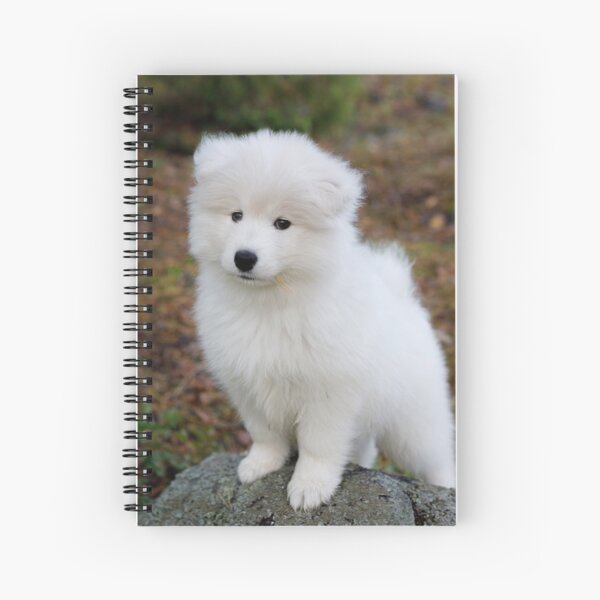 Item preview, Cute samoyed dog puppy in the forest designed and sold by Juhani Viitanen.