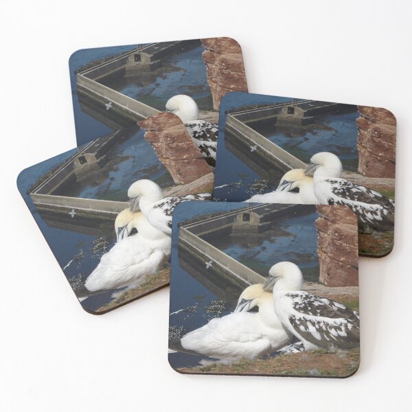 Item preview, Gannets Helgoland designed and sold by gesa118.