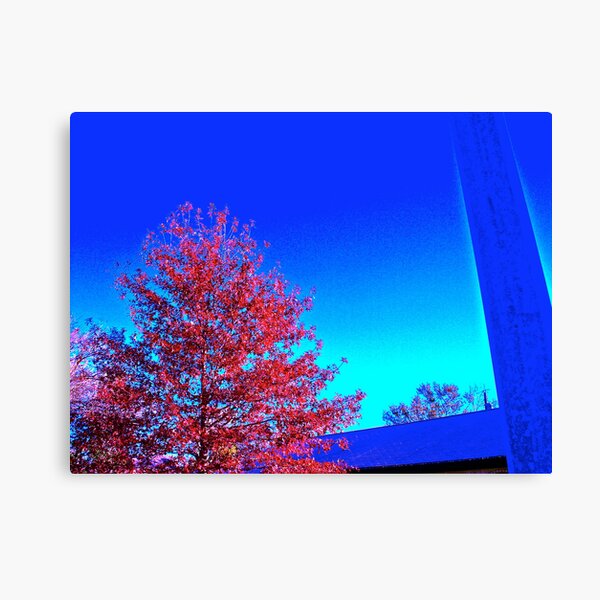 Where's the Wallpaper Canvas Print