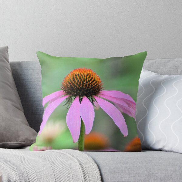 Aperçu de l'œuvre Cone Flowers créée et vendue par Kathleen Brant.