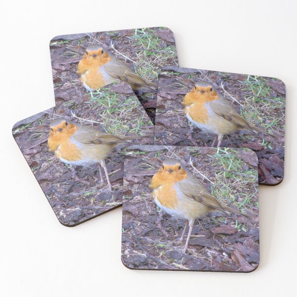 Item preview, Ragged Robin designed and sold by Sharon Perrett.